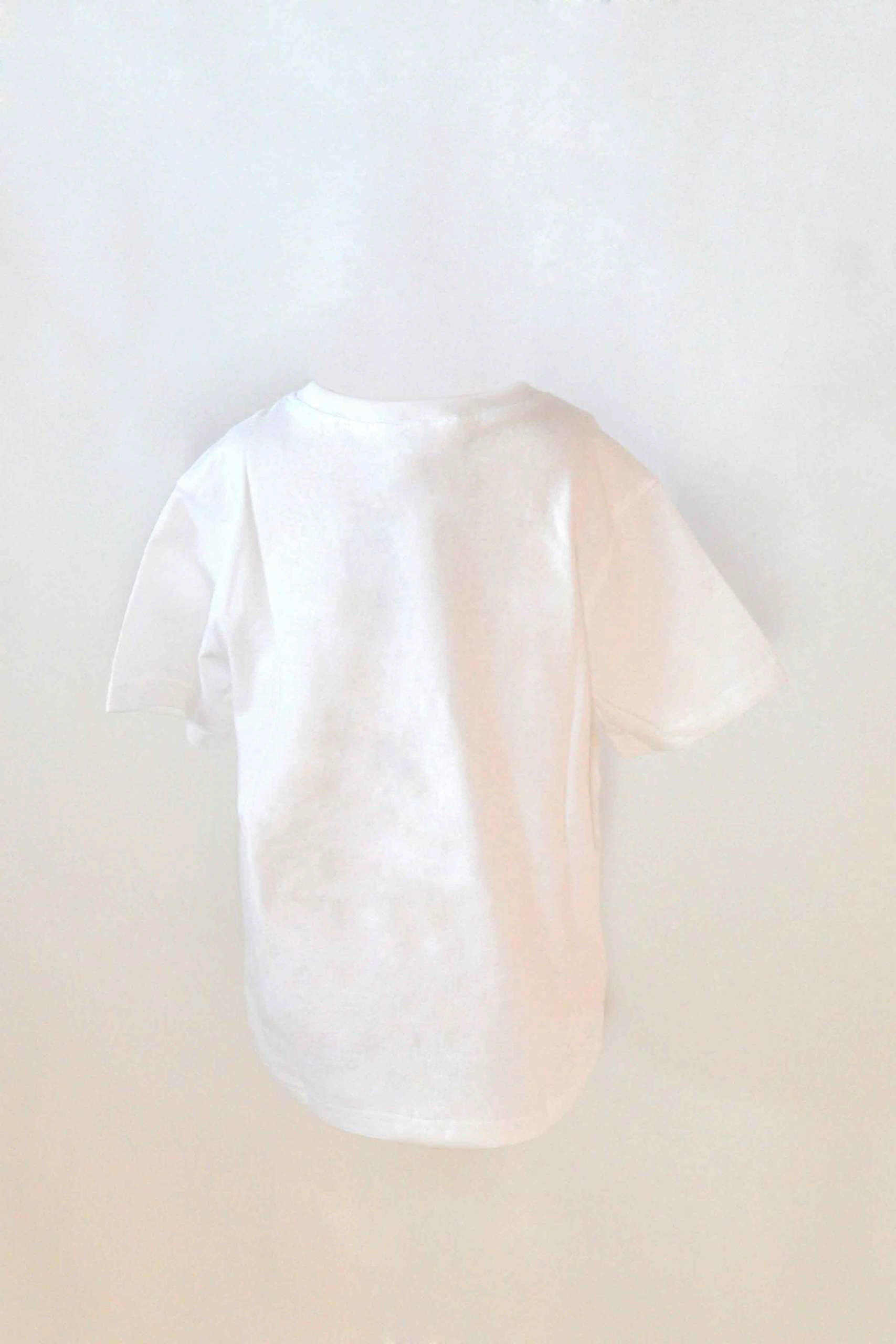 Trachten-T-Shirt Kurzarm Breze in Weiß von Isar-Trachten